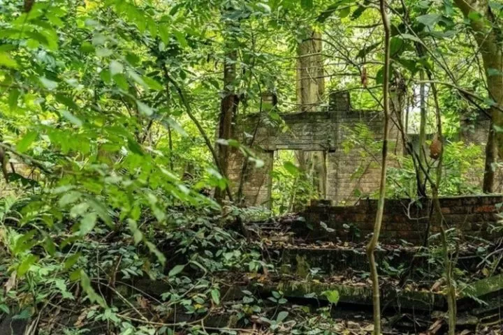 5 Best Nature Parks to Visit in Singapore