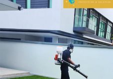 3000Immunity Singapore Review