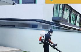 3000Immunity Singapore Review