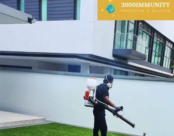 3000Immunity Singapore Review