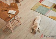 Best Flooring Contractors in Singapore
