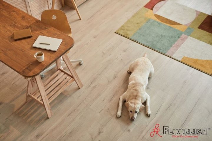 Best Flooring Contractors in Singapore