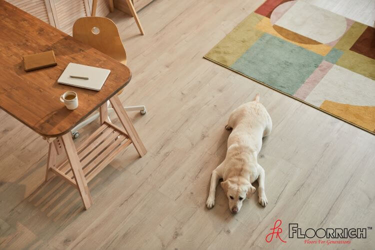5 Best Flooring Contractors in Singapore 2024 [Editor Review]