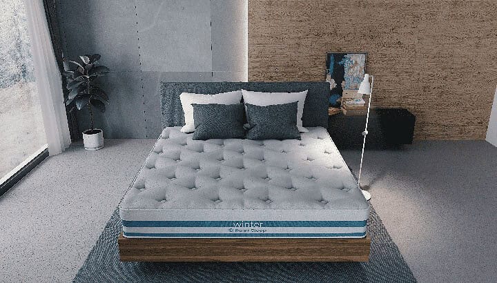 Winter Sleep Mattress Review