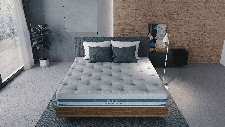 Winter Sleep Mattress