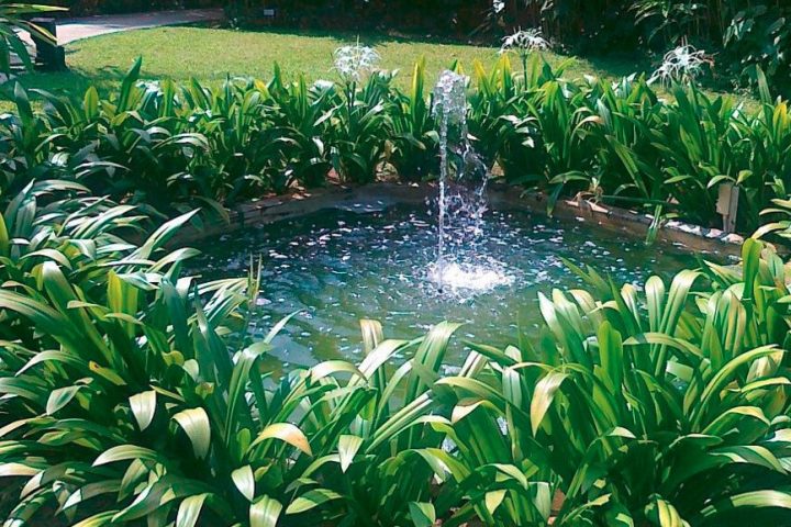 Ken Landscape Services