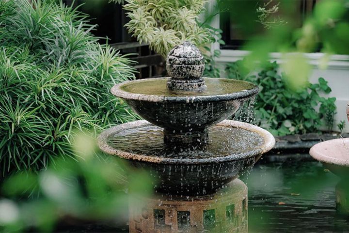 5 Best Landscaping Services in Singapore: Concept to Completion
