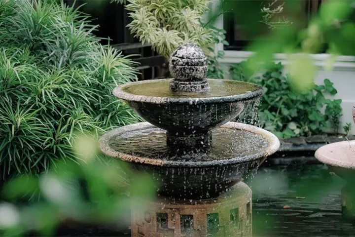 5 Best Landscaping Services in Singapore: Concept to Completion