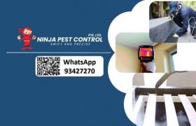 Ninja Pest Control