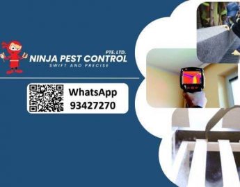 Ninja Pest Control