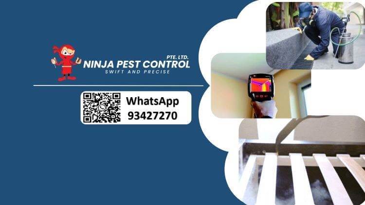 Ninja Pest Control