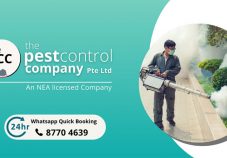 The Pest Control Company Singapore