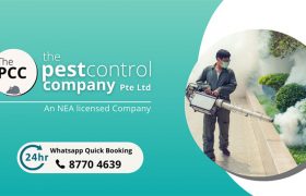 The Pest Control Company Singapore