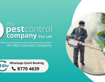 The Pest Control Company Singapore