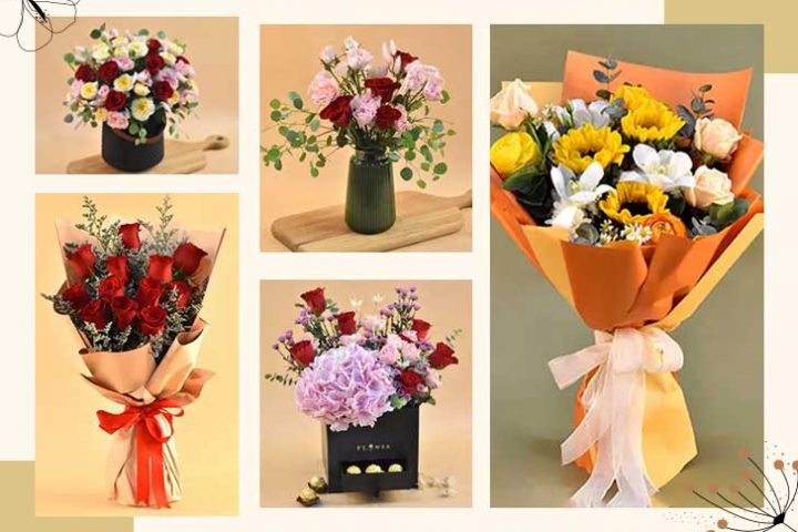 FNP Singapore Review