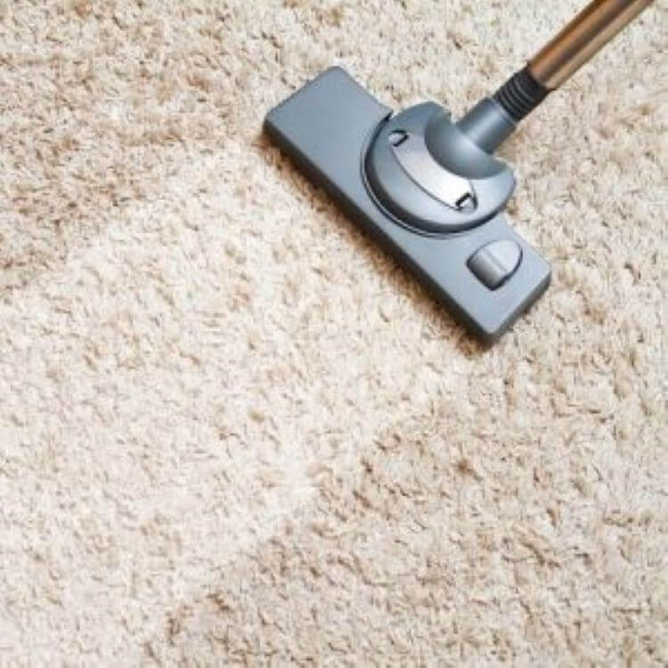 PS Home Maintenance: Carpet Cleaning Service