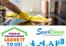 SparkCleanz