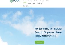 Pu Hua International PTE Ltd.