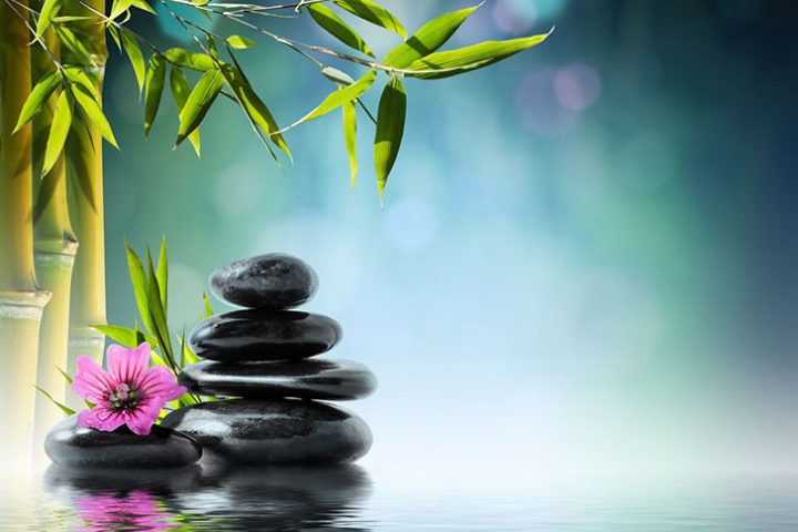 Loshi Feng Shui Consultancy