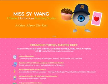 SY Wang Chinese Distinctions Learning Studio Review