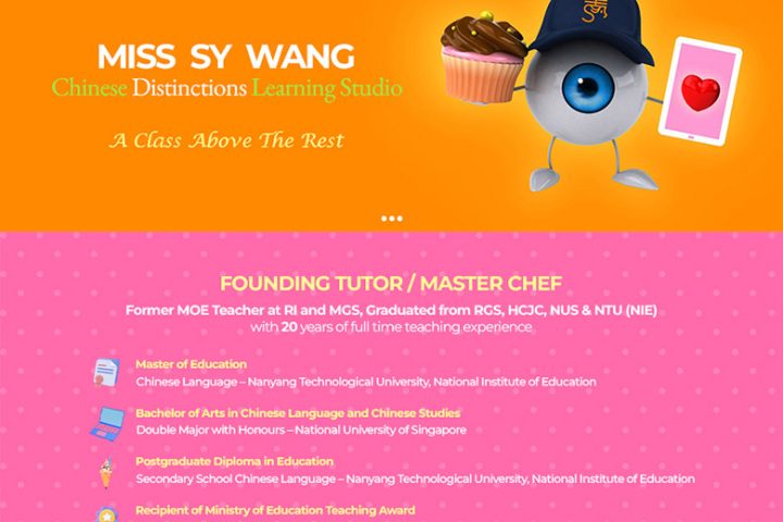 SY Wang Chinese Distinctions Learning Studio Review