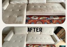 Clean And Care Sofa Cleaning Review