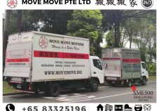 Move Move Movers Singapore Review