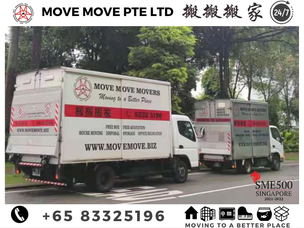 Review Of Move Move Movers