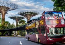 Hop-on, Hop-off Singapore Big Bus Tour