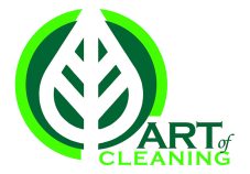 Art Of Cleaning Review