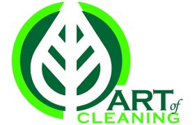 Art Of Cleaning Review