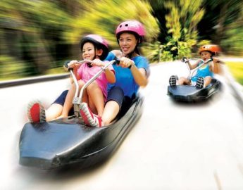 Luge Riding at Skyline Luge Singapore