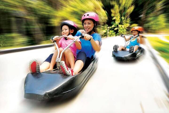 Luge Riding at Skyline Luge Singapore