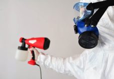5 Best Mould Removal Services in Singapore