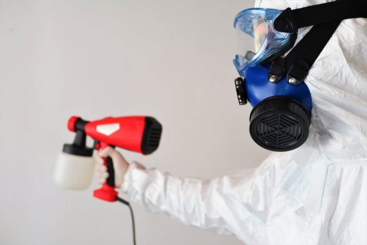 Singapore’s 5 Trusted Mould Removal Experts: Get Rid of Mould!