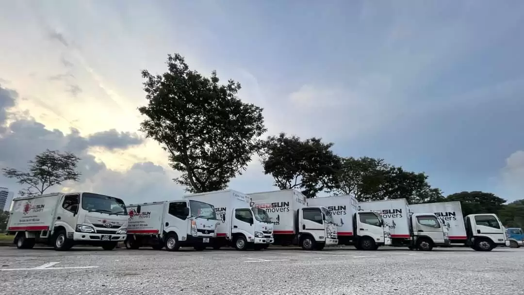 Red Sun Movers Singapore Review