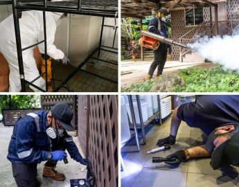 First Choice Pest Specialist
