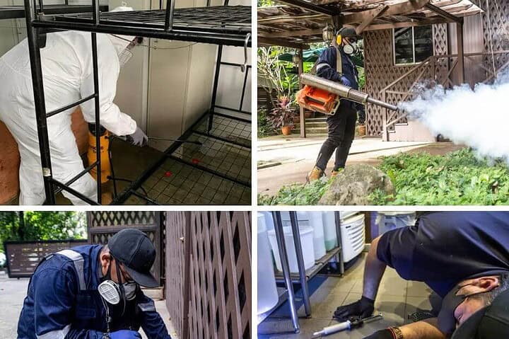 First Choice Pest Specialist