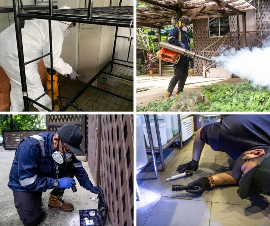 First Choice Pest Specialist