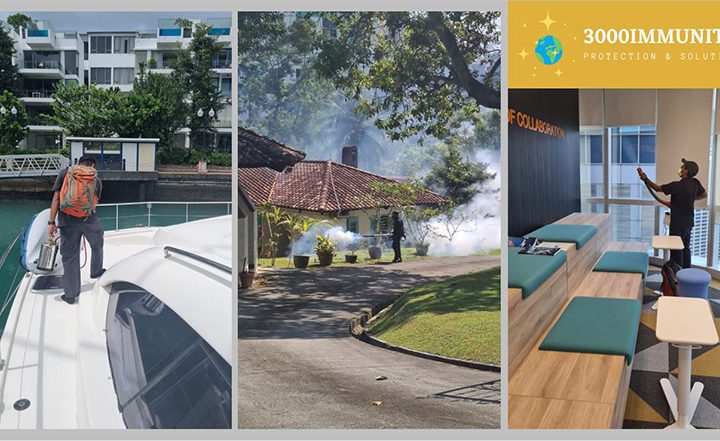 3000 immunity pest control singapore review