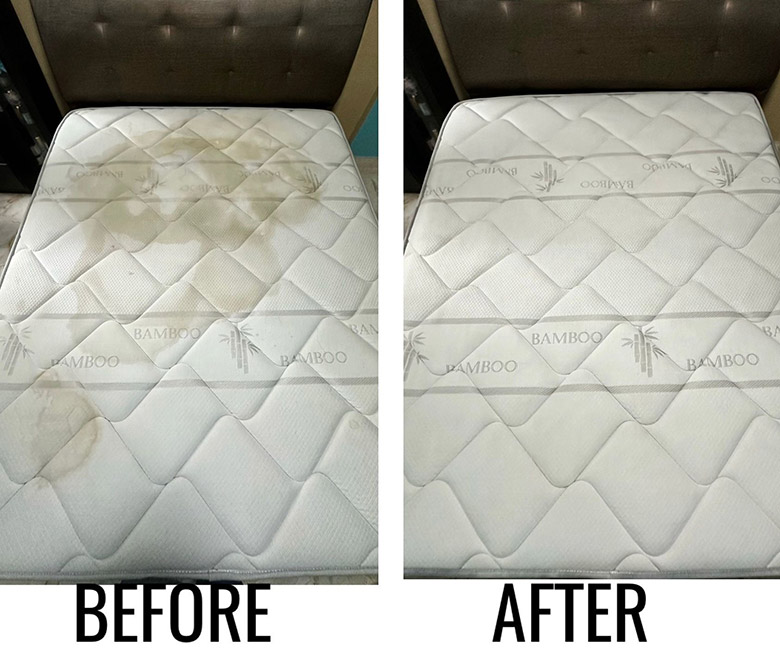 clean and care mattress cleaning review