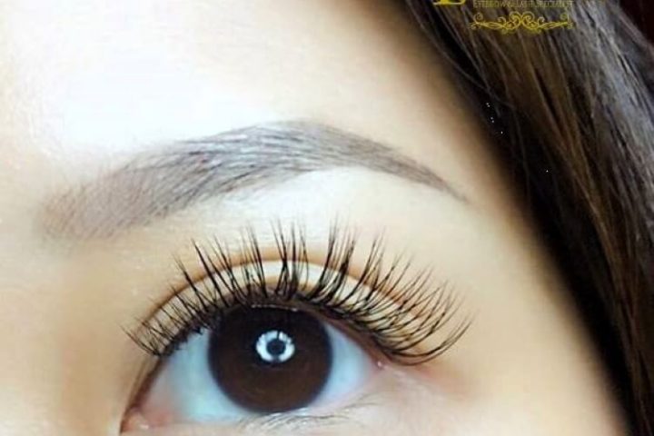 The Prestige Eyebrow & Lash Specialist