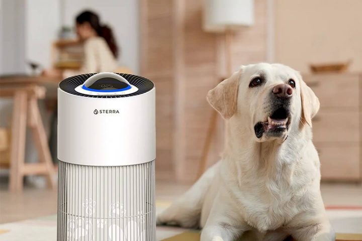 3 Best Air Purifiers to Buy for Pet Owners in Singapore 2025