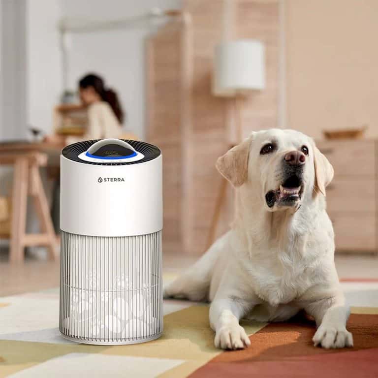 Best Air Purifiers to Buy for Pet Owners in Singapore
