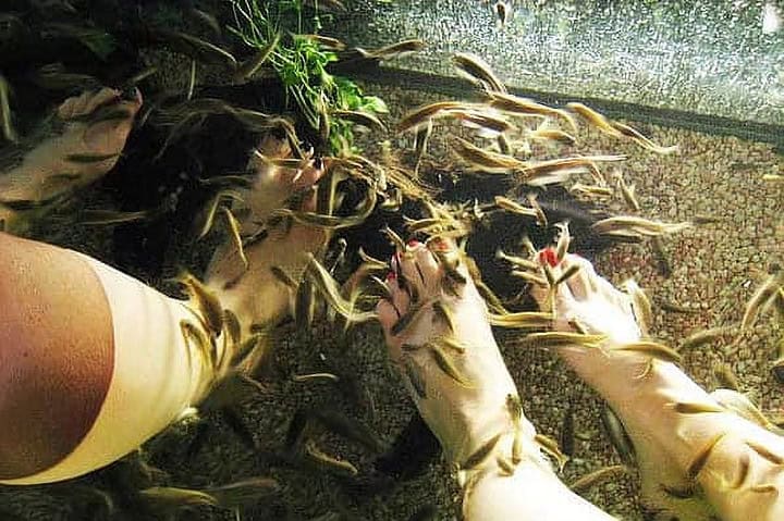 3 Best Fish Spas in Singapore: So Fun & Relaxing!