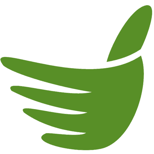 The Best Singapore logo
