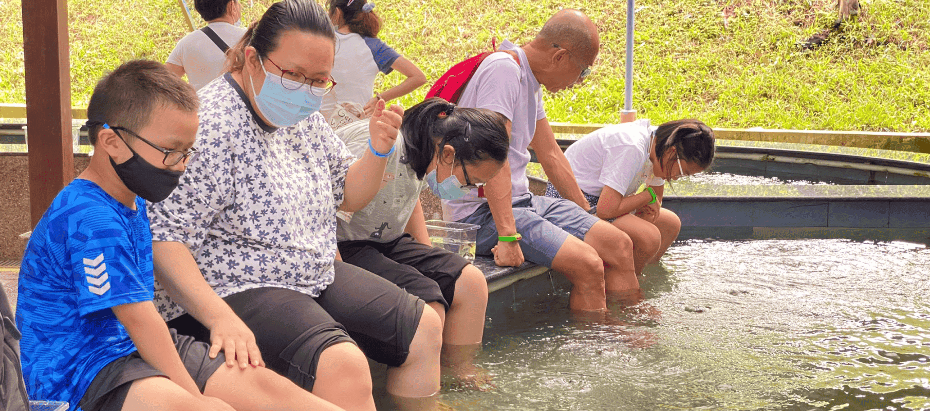 qian hu fish spa activity