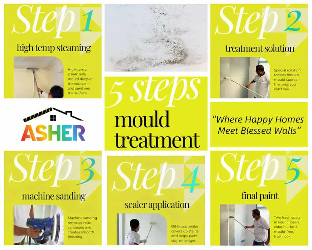 asher mould treatment review