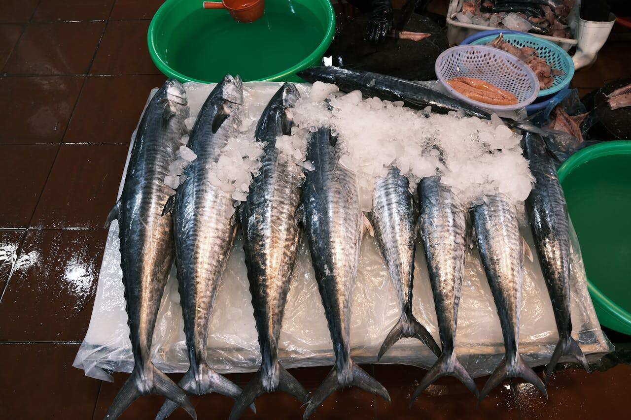 fish store at wet market