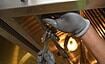 plumbers in singapore review